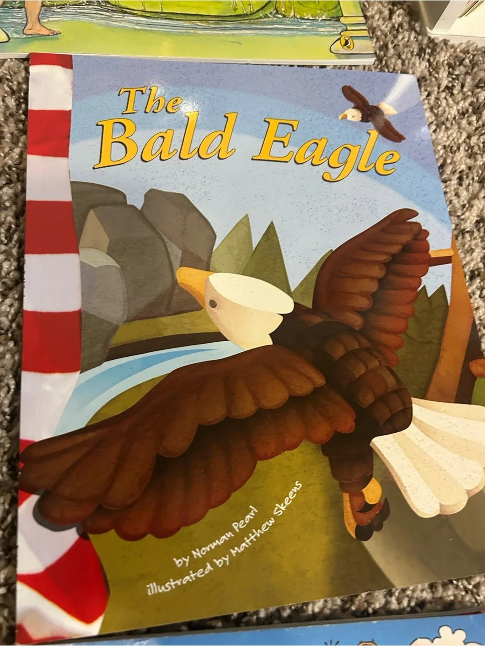 Children's Picture Book Bundle of 9 Books